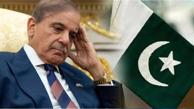 भारताने पाकिस्तानला किती रुपये कर्ज दिलं, नेमकं कशावर जगतो? सत्य काय?