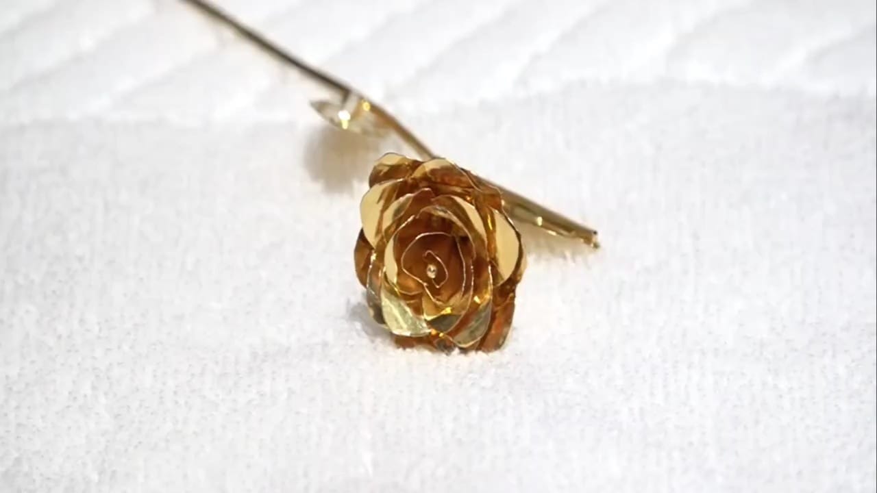 श्रीमती गितीका सहाणी यांनी साईबाबांवरील आपली अढळ भक्ती आणि निस्सीम श्रद्धा व्यक्त करण्यासाठी सोन्याचे फूल अर्पण केले. त्यांनी गुलाबाच्या सुंदर आकाराचे सोन्याचे फूल दान केले  आहे.