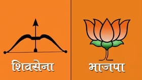 महायुतीतील वाद संपता संपेना, शिंदे गटाच्या नेत्याचे थेट भाजपला चॅलेंज.