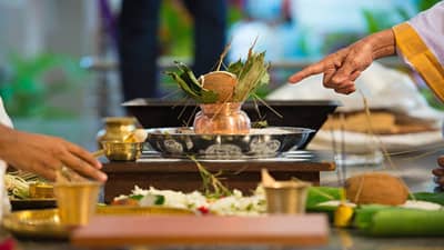 कुंडलीतील शुक्र दोष दूर करण्यासाठी करा हा साधा सोपा उपाय... घरात होईल बरकत