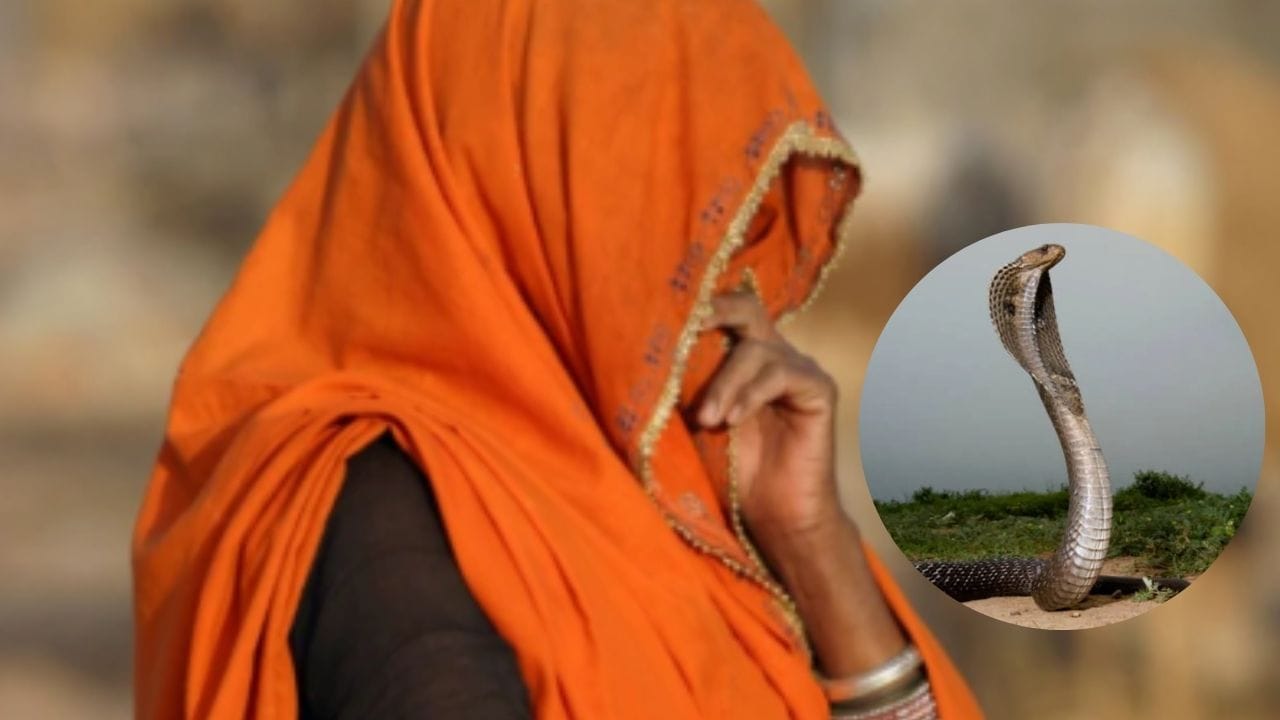 महिलेच्या स्वप्नात साप येताच अख्खं गाव हादरायचं, बरोबर 2 दिवसांनी घडायची महाभयंकर घटना, तब्बल 14 वेळा..