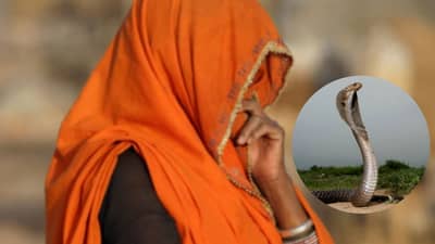 महिलेच्या स्वप्नात साप येताच अख्खं गाव हादरायचं, बरोबर 2 दिवसांनी घडायची महाभयंकर घटना, तब्बल 14 वेळा..
