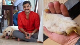 लाडक्या 'सिंबा'च्या जाण्यानंतर सोहम बांदेकर भावूक, खास पोस्ट करत...