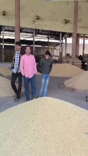 नाफेडचा धसका; व्यापाऱ्यांनी वाढवले सोयाबीनचे दर.