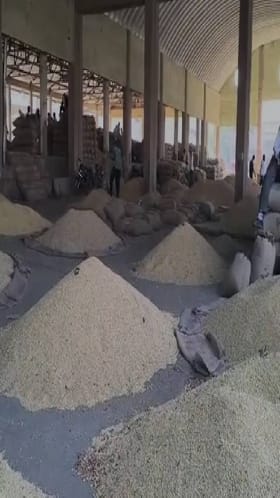 सोयाबीनची आवक मंदावली