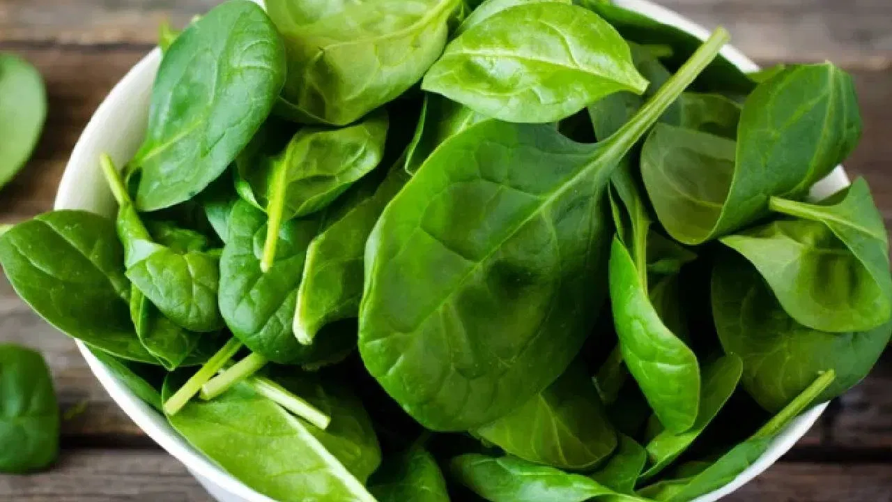 कच्ची की शिजवलेली कोणती पालक ठरते तुमच्यासाठी आरोग्यदायी? कच्ची की शिजवलेली कोणती पालक ठरते तुमच्यासाठी आरोग्यदायी?
