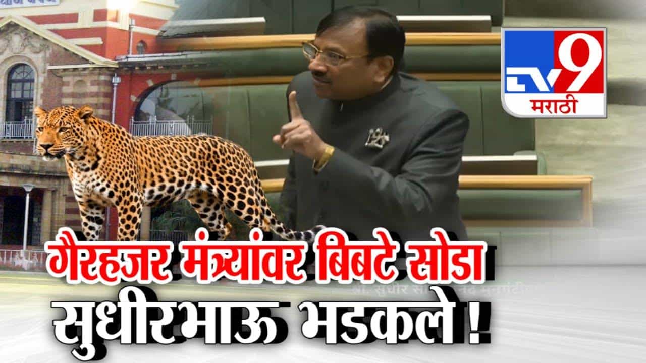 Sudhir Mungantiwar : गैरहजर मंत्र्यावर बिबटे सोडा...  सुधीर भाऊ भडकले अन् अधिकाऱ्यांनाही म्हणाले कोरड्या विहिरीत जीव द्या...सभागृहात काय घडलं?