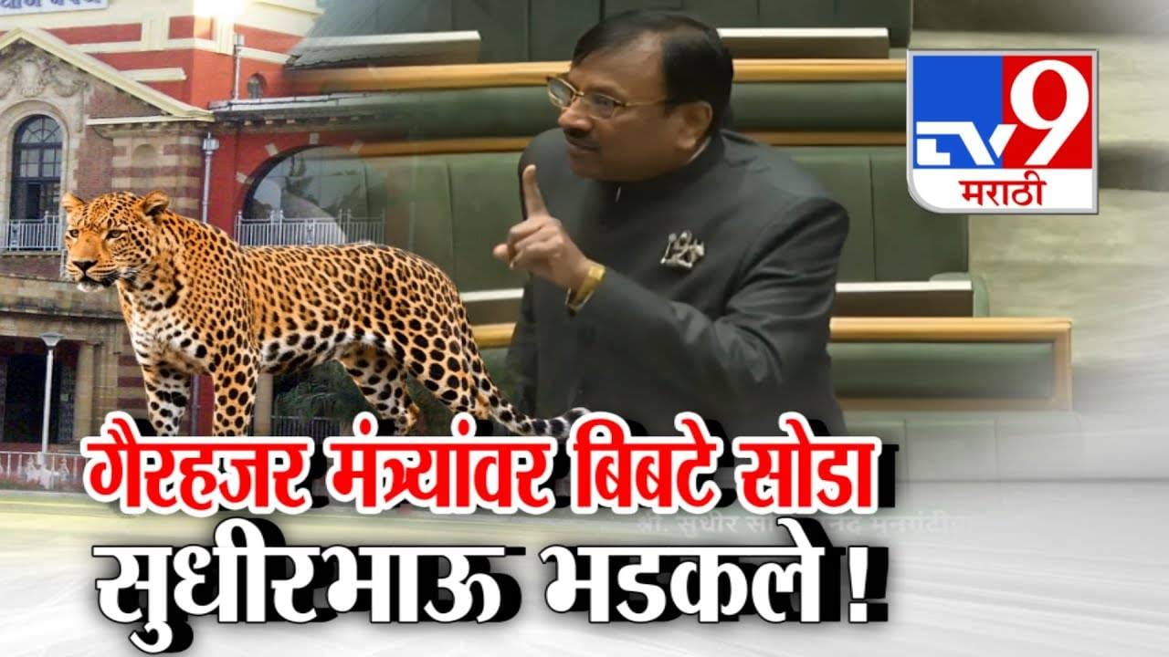 Sudhir Mungantiwar : गैरहजर मंत्र्यावर बिबटे सोडा...  सुधीर भाऊ भडकले अन् अधिकाऱ्यांनाही म्हणाले कोरड्या विहिरीत जीव द्या...सभागृहात काय घडलं?