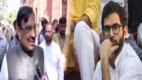 ते स्वतःच्या पक्षाचा अवमान करताय, ठाकरेंच्या दाव्यावर भाजपकडून उत्तर.