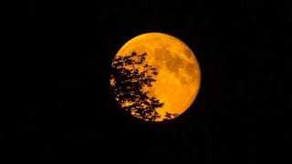Supermoon : पुन्हा अशी संधी मिळणार नाही… यंदाचा शेवटचा सुपरमून आज दिसणार; उघड्या डोळ्यांनी…