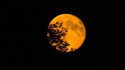 Supermoon : पुन्हा अशी संधी मिळणार नाही... यंदाचा शेवटचा सुपरमून आज दिसणार; उघड्या डोळ्यांनी...