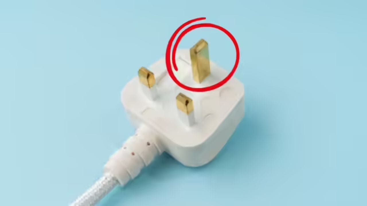 जर उपकरणात काही तांत्रिक बिघाड होऊन विद्युत प्रवाह गळती (Current Leakage) झाली, तर ही पिन ती वीज थेट जमिनीमध्ये सोडून देते. तुम्ही पाहिले असेल की अर्थ पिन इतर दोन पिनपेक्षा थोडी लांब असते.