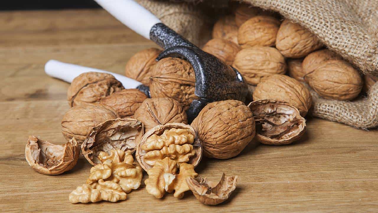 14 दिवस अक्रोड खाल्ल्यामुळे शरीरामध्ये दिसतील हे सकारात्मक बदल.. एकदा नक्की ट्राय करा