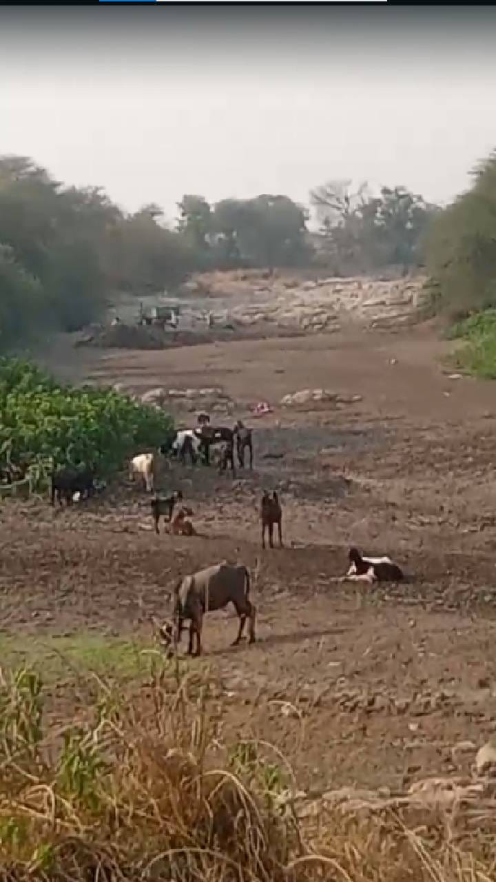 शासनाकडून एम-सँड अर्थात कृत्रिम वाळू धोरणाची प्रभावी अंमलबजावणी