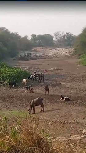 शासनाकडून एम-सँड अर्थात कृत्रिम वाळू धोरणाची प्रभावी अंमलबजावणी.