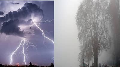 Weather Alert : पावसानंतर दुसरं मोठं संकट, 6 राज्यांना अलर्ट, महाराष्ट्रात…