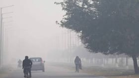 अनेक शहरांना अलर्ट, धुकं, शीतलहरींचा तडाखा, IMD कडून मोठा इशारा.