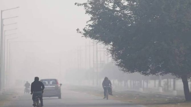 अनेक शहरांना अलर्ट, धुकं, शीतलहरींचा तडाखा, IMD कडून मोठा इशारा