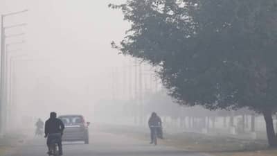 Weather Update : अनेक शहरांना अलर्ट,  धुकं, शीतलहरींचा तडाखा, IMD कडून मोठा इशारा जारी,  राज्यातील तापमान...