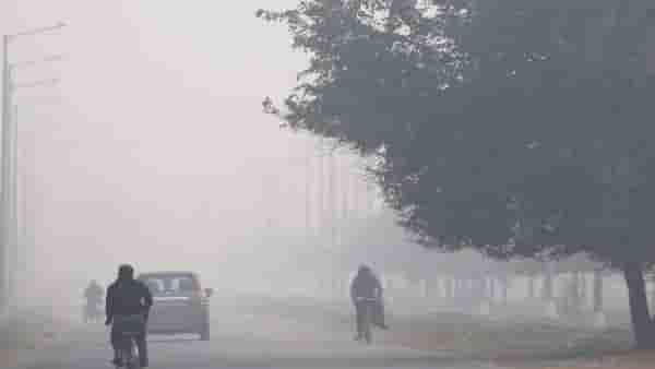 Weather Update : अनेक शहरांना अलर्ट, धुकं, शीतलहरींचा तडाखा, IMD कडून मोठा इशारा जारी, राज्यातील तापमान...