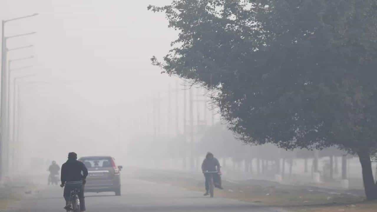 Weather Update : अनेक शहरांना अलर्ट, धुकं, शीतलहरींचा तडाखा, IMD कडून मोठा इशारा जारी, राज्यातील तापमान...