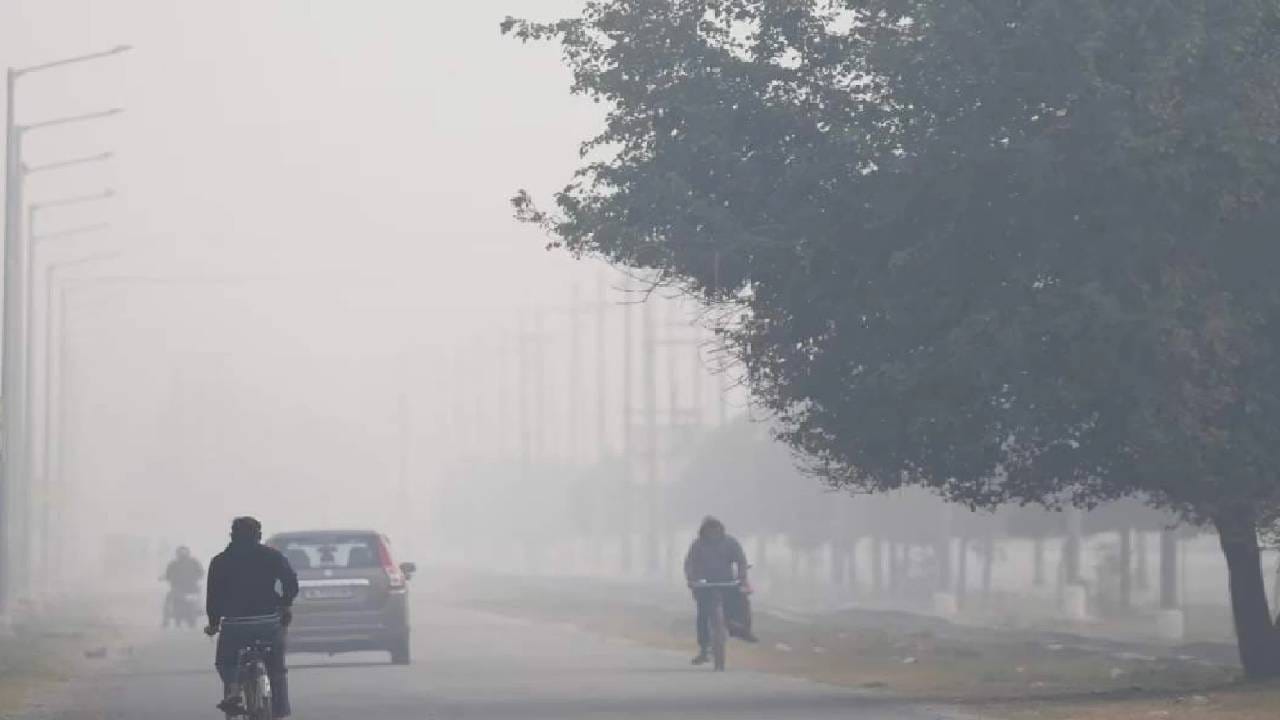 Weather Update : अनेक शहरांना अलर्ट, धुकं, शीतलहरींचा तडाखा, IMD कडून मोठा इशारा जारी, राज्यातील तापमान... Weather Update : अनेक शहरांना अलर्ट, धुकं, शीतलहरींचा तडाखा, IMD कडून मोठा इशारा जारी, राज्यातील तापमान...