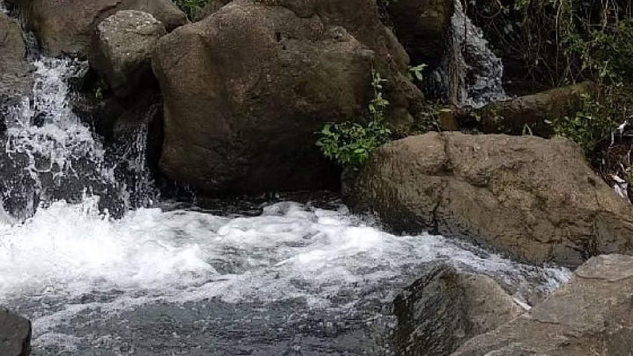 अदई धबधबा हा पनवेलमधील सर्वात सुंदर आणि लोकप्रिय धबधब्यांपैकी एक आहे. विशेषतः पावसाळ्यात येथे निसर्गाची खरी शोभा पाहायला मिळते. हिरवाई, धबधब्याचा आवाज आणि शांत वातावरण यामुळे हे ठिकाण फोटोशूट अतिशय योग्य आहे.