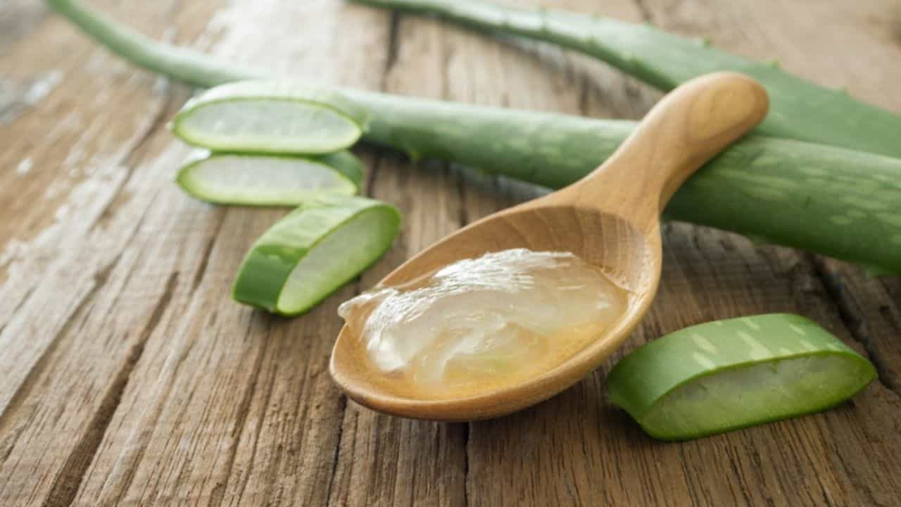 एरंडेल तेल,मेथी पावडर आणि एलोव्हेरा : केस गळती, केसांना दोन मुळे आले असतील बचावासाठी एक कप ऐलोवेरा जेल,२ चमचे एरंडेलचे तेल आणि २ चमचे मेथी पावडर मिक्स करुन २ तास केसांना लावून ठेवावे नंतर केस धुवावे.