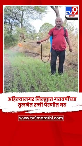 अहिल्यानगर जिल्ह्यात गतवर्षीच्या तुलनेत रब्बी पेरणीत घट.