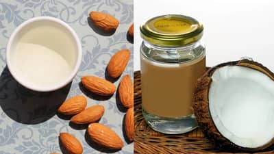 हिवाळ्यात केसांसाठी खोबरल तेल की बदामाचे तेल? काय ठरते सर्वात जास्त फायदेशीर?