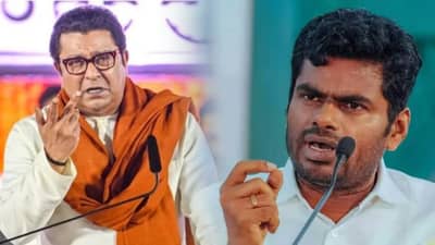 मुंबईत येतो, हिंमत असेल तर... राज ठाकरेंना अन्नामलाईचं खुलं आव्हान; त्या टीकेनंतर वातावरण तापलं!