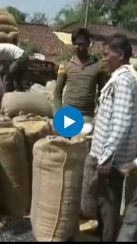 ३१ लाख क्विंटल धान खरेदी पूर्ण, तरीही शेतकऱ्यांचे धान शिल्लक!.