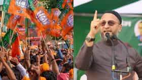 भाजपा आणि एमआयएमची थेट युती, राज्यातील राजकारणात मोठी खळबळ, सत्तेत..