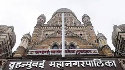 BMC Election Results 2026 LIVE : दक्षिण मुंबईतील हायव्होल्टेज लढती; दिग्गजांची प्रतिष्ठा पणाला, निकाल काही वेळातच
