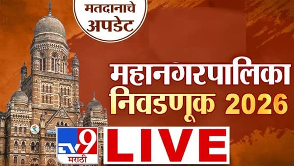 Maharashtra Election Nagarsevak Winners List 2026 LIVE: राज्यात कोणत्या पक्षाला किती जागा? वाचा सगळी यादी एका क्लिकवर