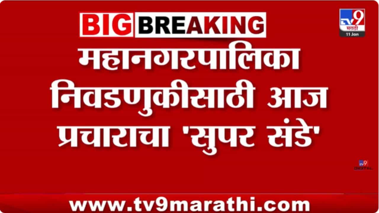 प्रचारांचा 'सुपर संडे'! निवडणुकीच्या पार्श्वभूमीवर सभांचा धडाका