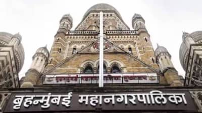 मुंबई महापालिका निवडणुकीत डीजिटल वॉर... फीड्स, फॉरमॅट्स आणि व्हायरल गोष्टींवर कशा होतात निवडणुका? सर्व्हे काय?