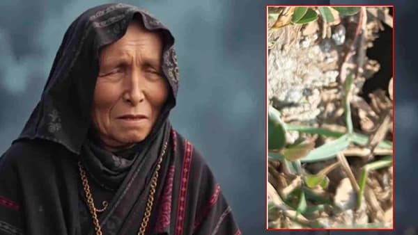 प्रसिद्ध भविष्यवेत्त्या बाबा वेंगा यांनी 2026साठी अनेक भविष्यवाण्या केल्या आहेत. आता या भविष्यवाण्या खऱ्या होणार का याकडे जगाचे लक्ष लागले आहे. 2026 मध्ये जगभरात युद्धाची स्थिती राहील, युद्धामुळे जगात मोठं नुकसान होईल, एआयची (AI) वाढत असलेली ताकद, परग्रहावरील जीव पृथ्वीवर येणार तसेच ज्वालामुखीचा उद्रेक अशा अनेक भविष्यवाण्या केल्या आहेत. आता महाराष्ट्रातील भंडारा जिल्हात घडलेल्या घटनेमुळे सर्वांना धक्काच बसला आहे.