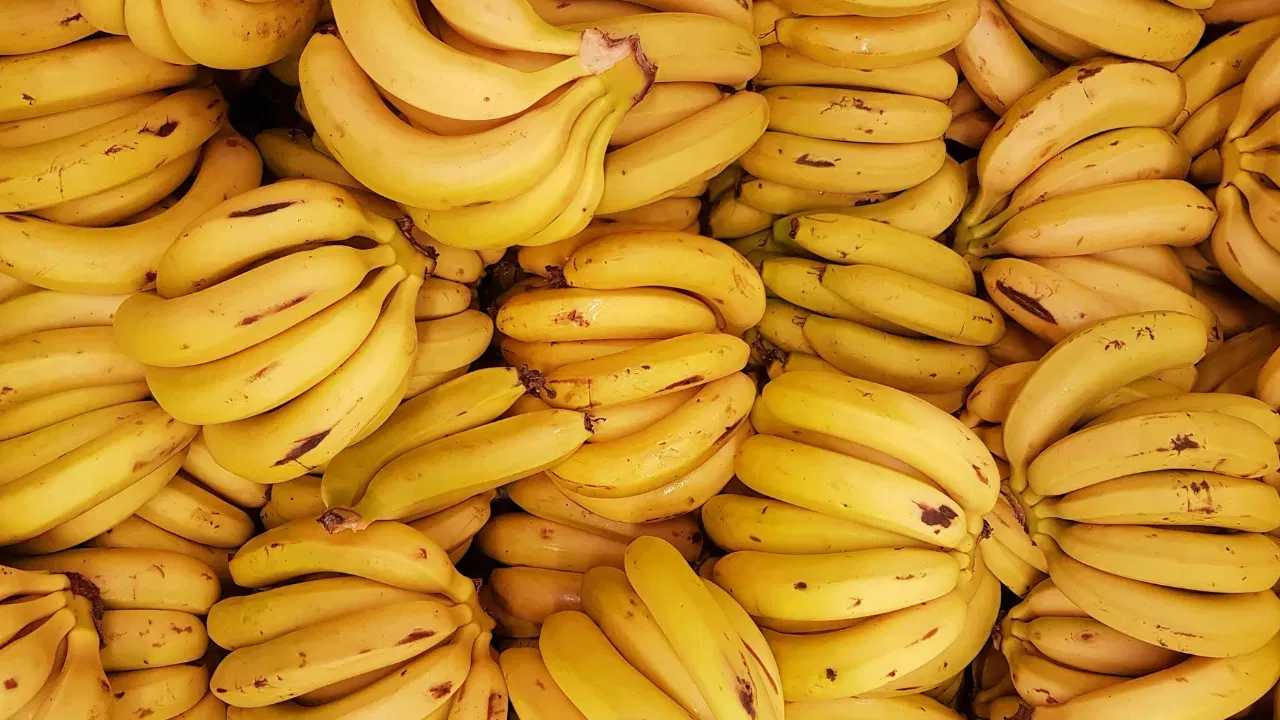 पाण्यातील चाचणी : एक बादली पाणी घेऊन त्यात केळी टाका. जर केळी पाण्यावर तरंगली, तर ती नैसर्गिकरीत्या पिकलेली आहेत. जर केळी पाण्याच्या तळाला गेली, तर समजून जा की ती केमिकलने पिकवलेली आहेत (कारण केमिकल्समुळे केळीचे वजन वाढते).