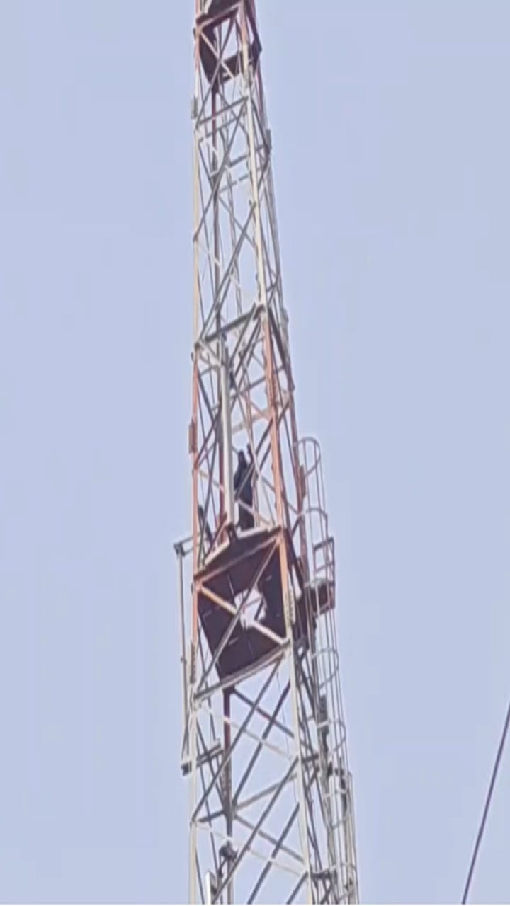 युवक चढला 300 फूट मोबाईल टॉवरवर... कारण जाणून व्हाल हैराण