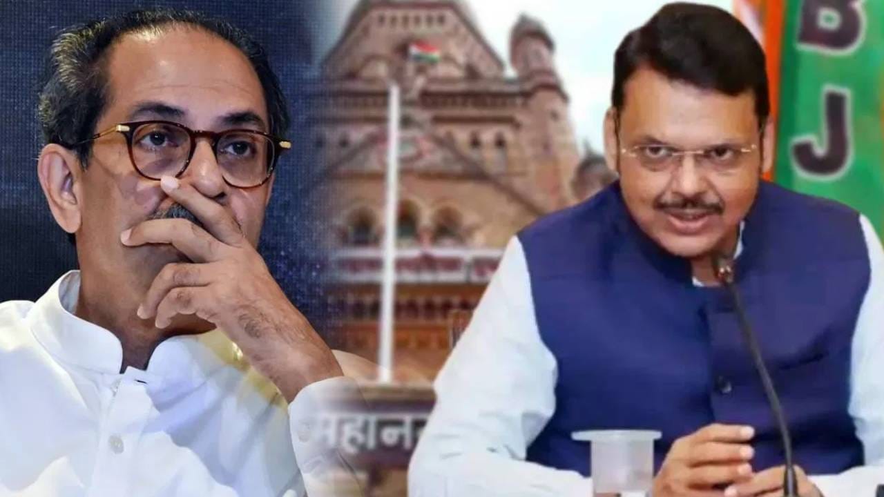 प्लीज उद्धव ठाकरेंना माझा संदेश पोहोचवा, त्यांना सांगा... असं का म्हणाले देवेंद्र फडणवीस? प्लीज उद्धव ठाकरेंना माझा संदेश पोहोचवा, त्यांना सांगा... असं का म्हणाले देवेंद्र फडणवीस?