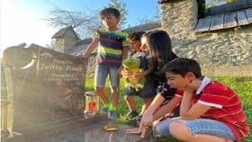 लग्नाच्या वाढदिवशी नवऱ्याने दिली घटस्फोटाची नोटीस आणि....