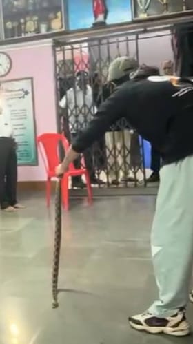 मतदान बुथवर विषारी साप.