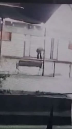 Video : छत्रपती संभाजीनगरमध्ये मध्यरात्री चोरीची घटना.