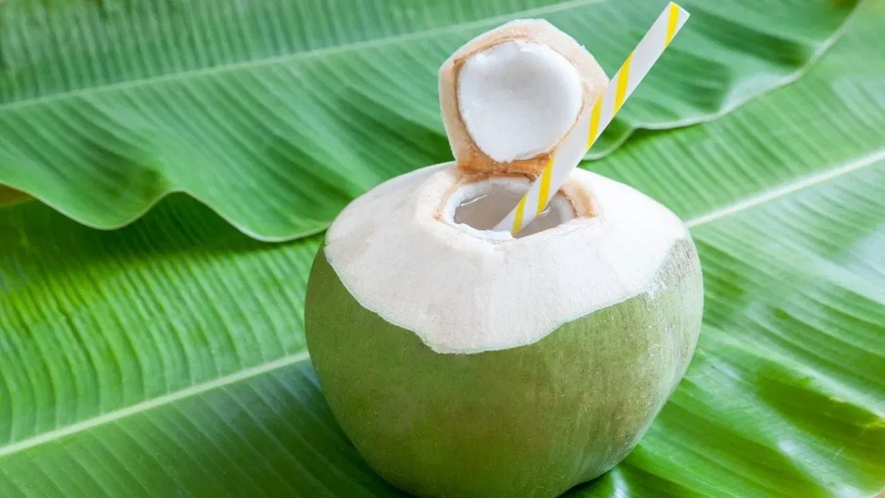 पोषक तत्वांचा खजिना: हे पाणी झाडाच्या विविध भागांमधून गाळून नारळात येते, त्यामुळे त्यात पोटॅशियम, मॅग्नेशियम आणि सोडिअम यांसारखी खनिजे मोठ्या प्रमाणावर असतात. म्हणूनच हे पाणी आरोग्यासाठी अत्यंत फायदेशीर मानले जाते.