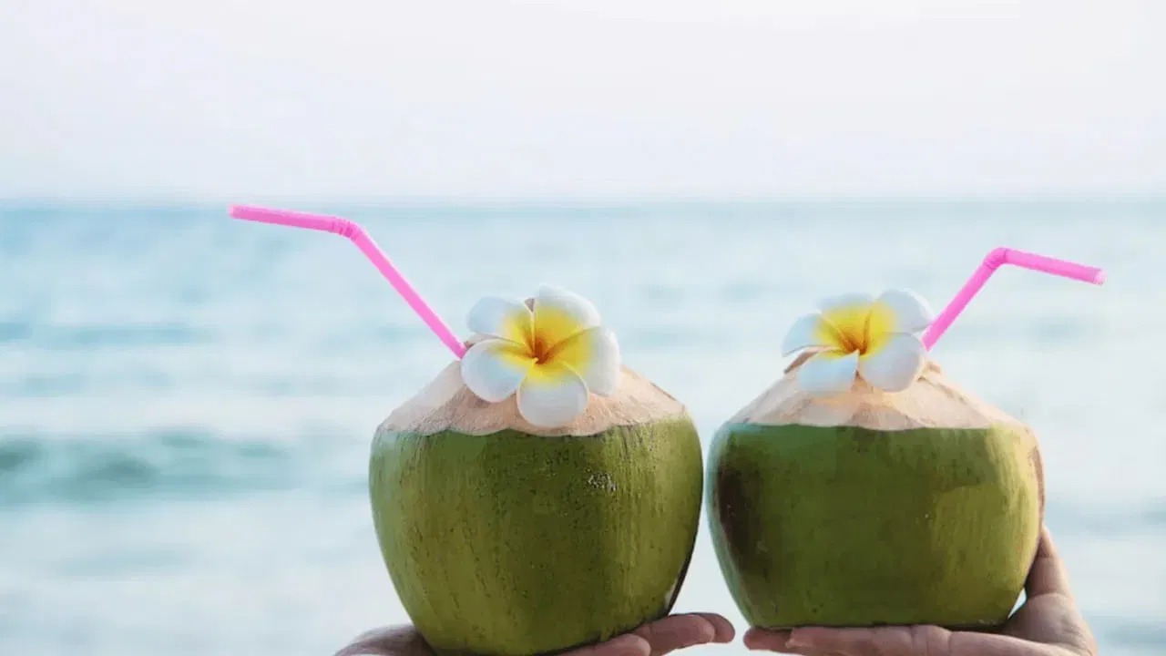 पाण्याचे रूपांतर मलाईत: नारळ जसजसा जूना होऊ लागतो, तसतसे हे पाणी हळूहळू घट्ट होऊ लागते आणि त्याचे रूपांतर पांढऱ्या मलाईत (खोबरे) होते. कच्च्या नारळात पाण्याचे प्रमाण जास्त असते कारण ही प्रक्रिया तेव्हा सुरुवातीच्या टप्प्यात असते.