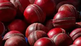 GK : क्रिकेटचा चेंडू कशापासून बनवला जातो?