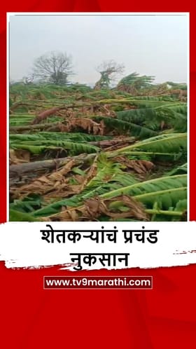 Dhule : शिरपूर-शिंदखेडा तालुक्यात अवकाळी पाऊस, पिकांचं नुकसान.