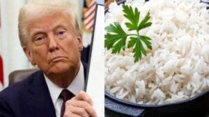 Explainer : डोनाल्ड ट्रम्प यांची टॅरिफची धमकी त्यांच्याच अंगलट कशी येणार?