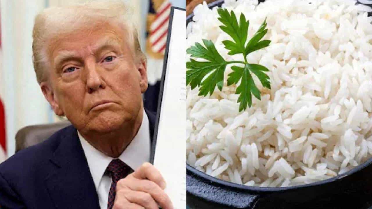 Explainer : डोनाल्ड ट्रम्प यांची टॅरिफची धमकी त्यांच्याच अंगलट कशी येणार?